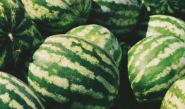 带你吃瓜,揭秘娱乐圈那些不为人知的幕后故事